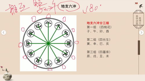 中国哪个生肖代表八字命理 - 生肖在八字中占的比例大吗