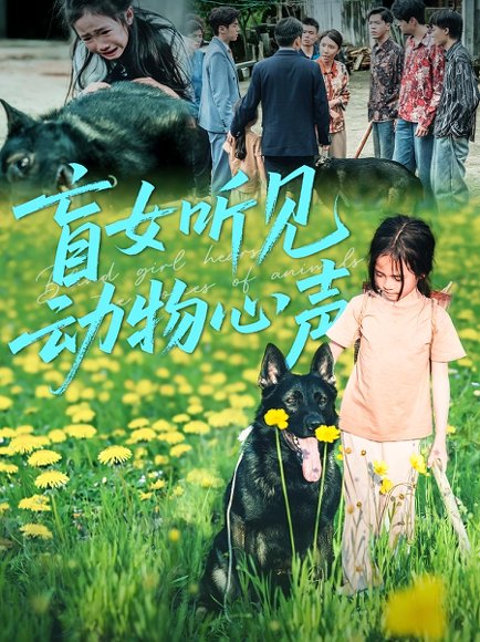 盲女听见动物心声（61集） 高清完整版