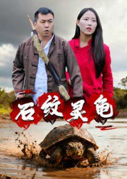 石纹灵龟（30集）王浩&刘灵 高清完整版